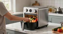 15 Best Air Fryer Toaster Ovens in 2026