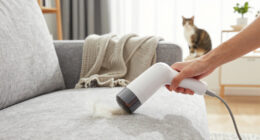 15 Best Pet Hair Removers in 2026