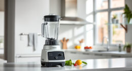 Is the Vitamix 5200 Worth It? Honest Review