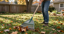 Raking It In