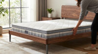 14 Best Murphy Beds in 2026