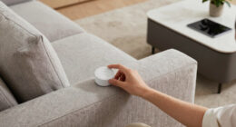 15 Best Sofas in 2026