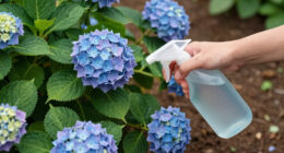 9 Best Hydrangea Fertilizers in 2026