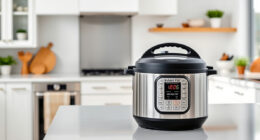 Instant Pot Pro Review: Pros, Cons, and Who It's For
