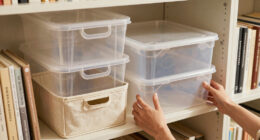 The $0 Storage-Doubling Trick to Try on Your Bookshelf