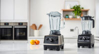 Vitamix E310 Explorian vs Vitamix Propel 750: Full Comparison