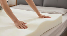 10 Best Memory Foam Mattress Toppers in 2026