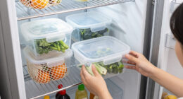 13 Best Fridge Organizers in 2026