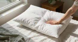 15 Best Down Alternative Bed Pillows for Comfortable Sleep in 2026